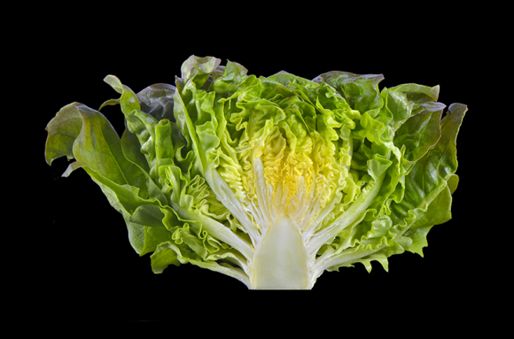 Que manger pour être en bonne santé ?  