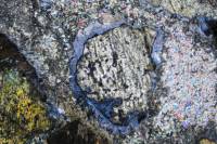 Lames minces de  roches métamorphiques