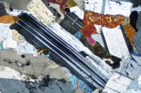 Lames minces de roches magmatiques de référence