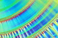 VIDEOS ENVIRONNEMENT NEW