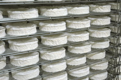 Fabrication des fromages