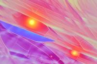 PHOTOS ENVIRONNEMENT NEW