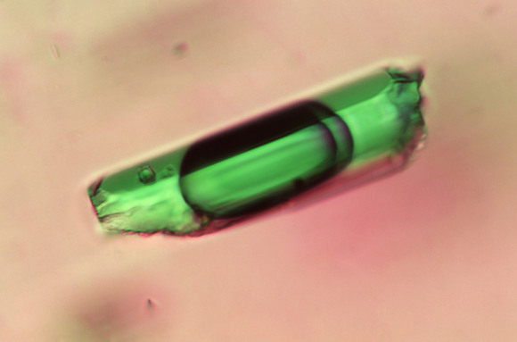 Divers lames minces de roches 