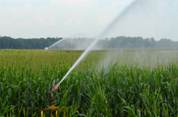 Développement durable