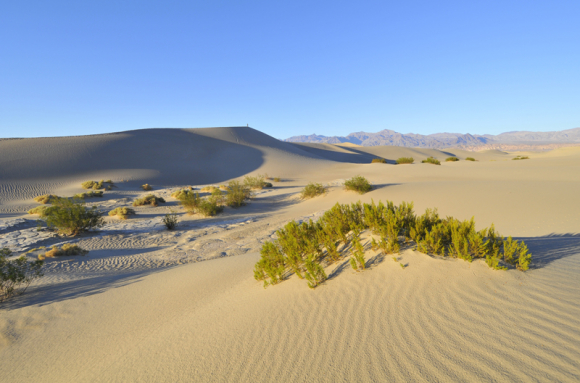 Environnements sableux et détritiques