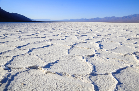 Environnements salins