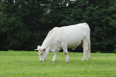 La matière consommée et produite par les êtres vivants  