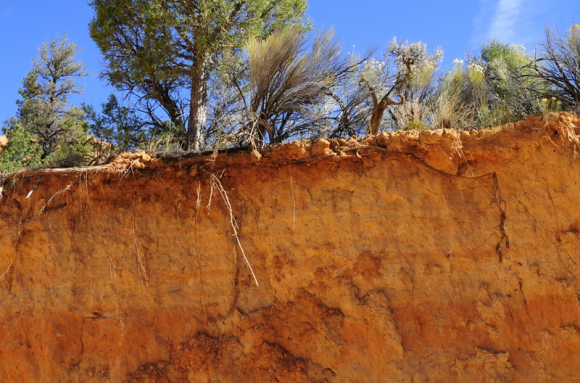 Planète, sols, climats