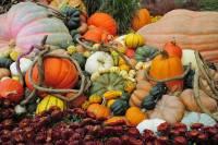 L’origine des aliments  