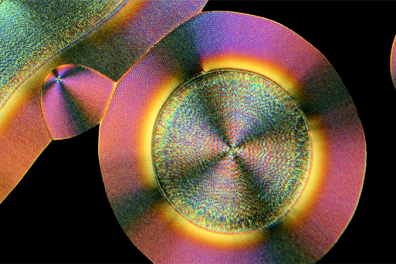 Cristallisations de substances minérales et organiques - LPA - 3mn 22s